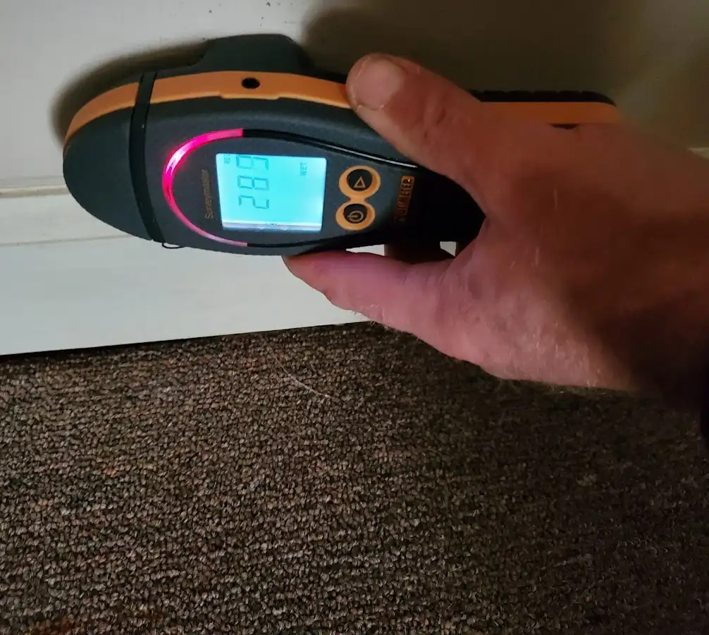 Moisture detection at baseboard during Sewage Cleanup & Sanitation in Cohoes